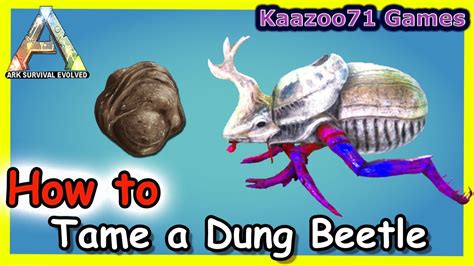 how to tame dung beetle ark